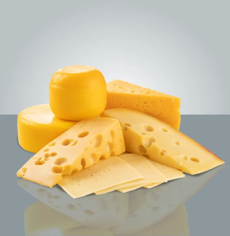 cheese-equipment